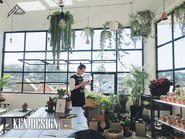 thiết kế quán cafe đẹp